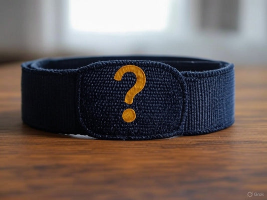 Pourquoi choisir un collier en nylon pour chien ?