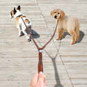 Laisse Double Pour 2 Chiens – Réglable, élastique, Boucle Rotative 360°, Nylon Résistant, Noir Et Bleu - 3