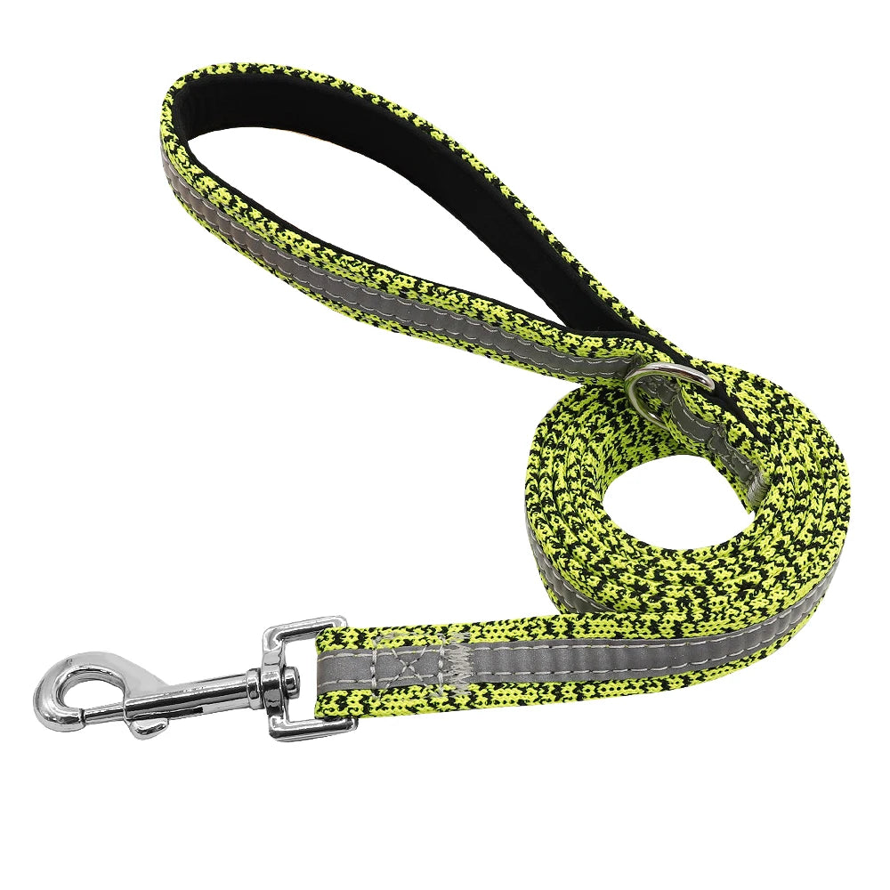 Pack Collier Personnalisé et Laisse Chien - Réfléchissant-Pile Poils