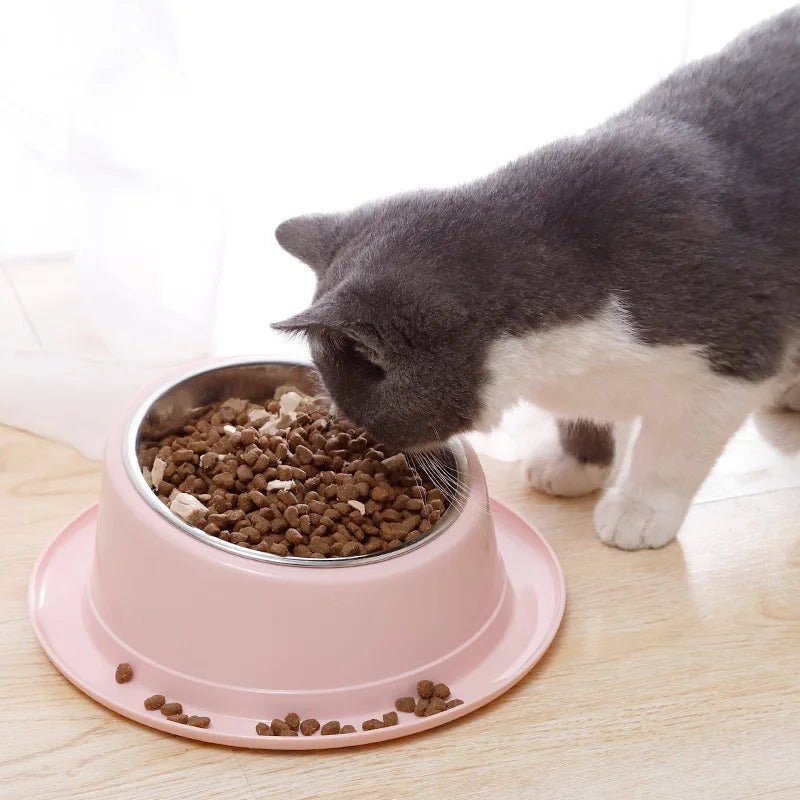 Gamelle Chat Rehaussée et Inclinée avec Rebord