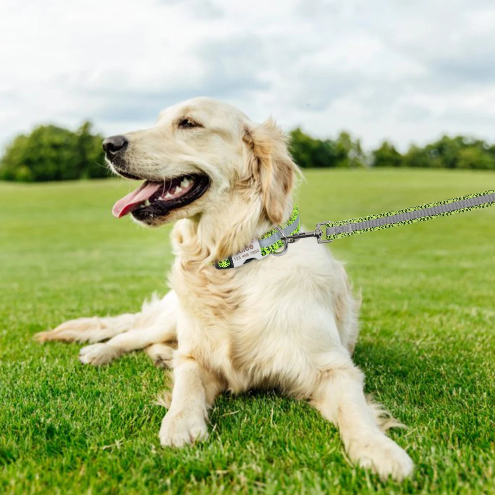 Pack Collier Personnalisé et Laisse Chien - Réfléchissant-Pile Poils