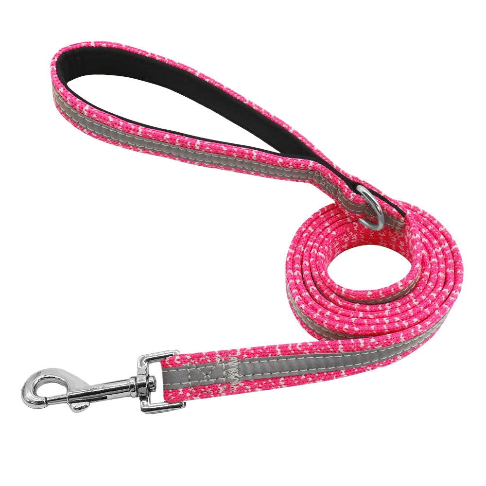 Pack Collier Personnalisé et Laisse Chien - Réfléchissant-Pile Poils