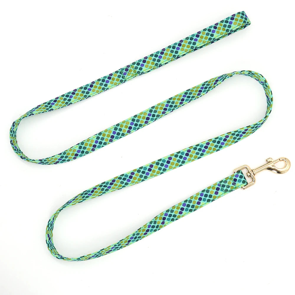 Laisse Chien Nylon Colored - 150cm