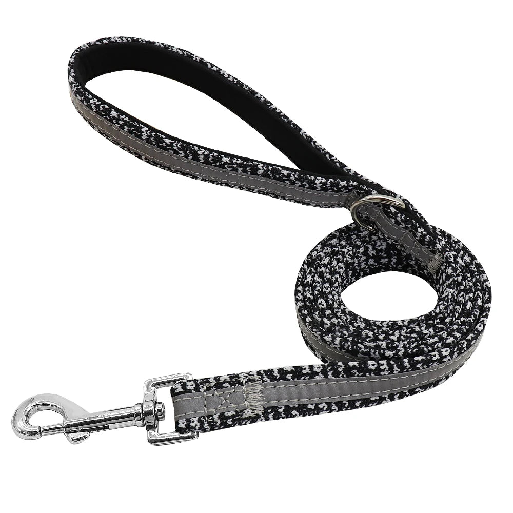Pack Collier Personnalisé et Laisse Chien - Réfléchissant-Pile Poils
