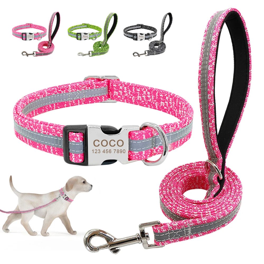 Pack Collier Personnalisé et Laisse Chien - Réfléchissant-Pile Poils