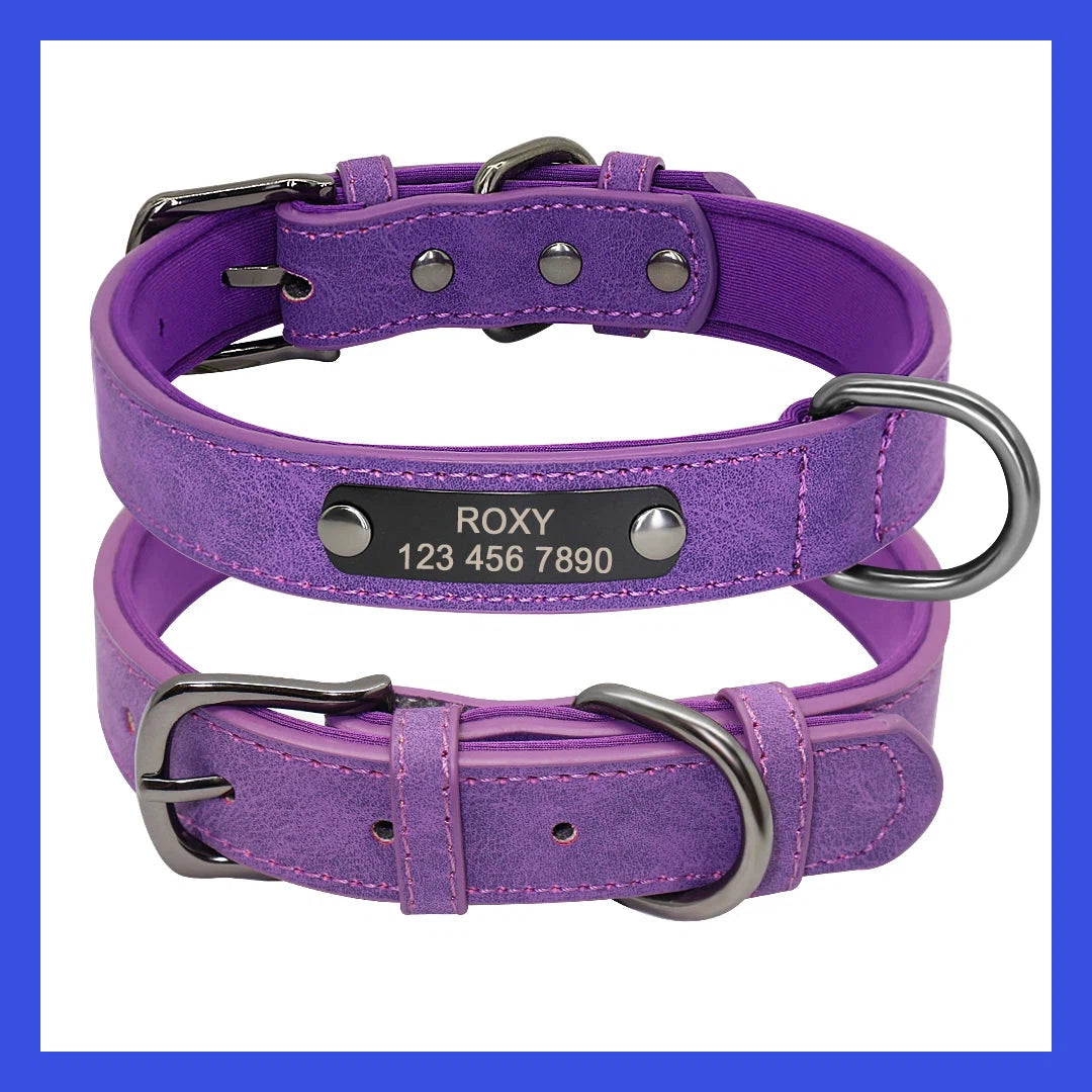 Collier Personnalisé Cuir Roxy-Pile Poils