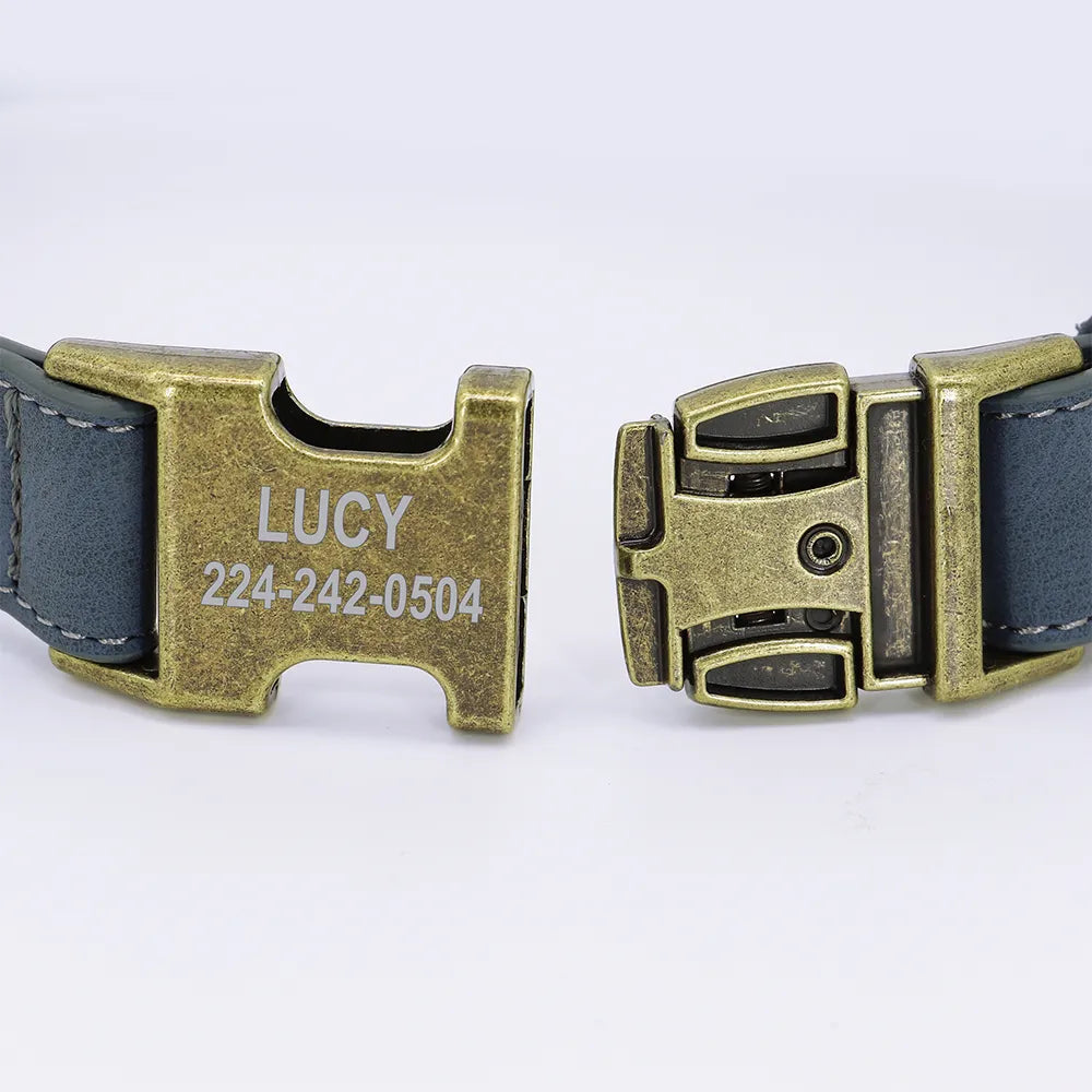 Collier Chien Personnalisé - Cuir Rembourré - Or-Pile Poils