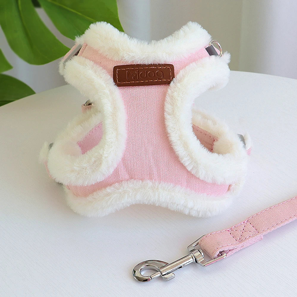 Pack harnais rembourré hiver et Laisse