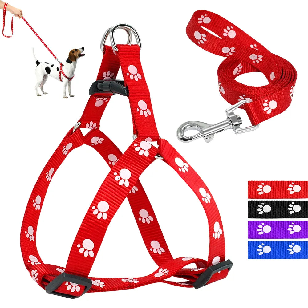 Pack harnais Nylon et Laisse