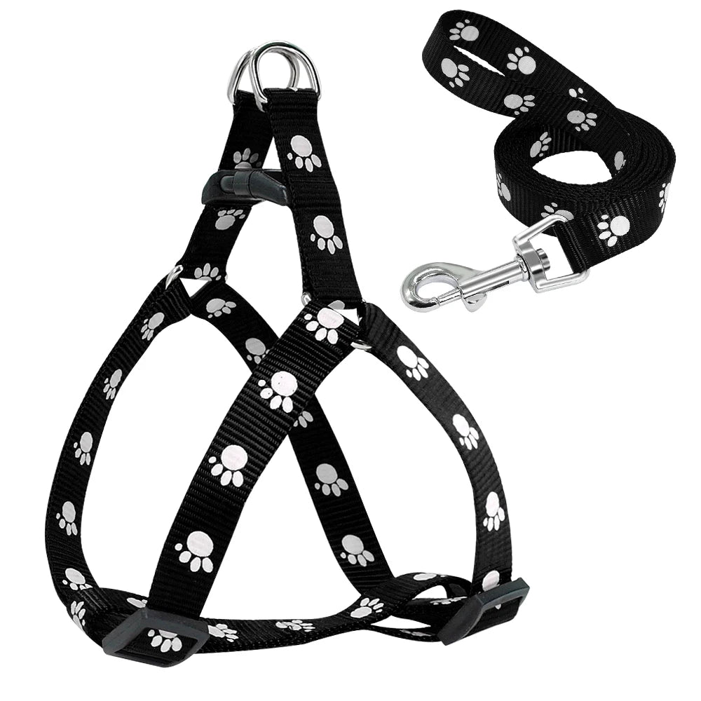 Pack harnais Nylon et Laisse