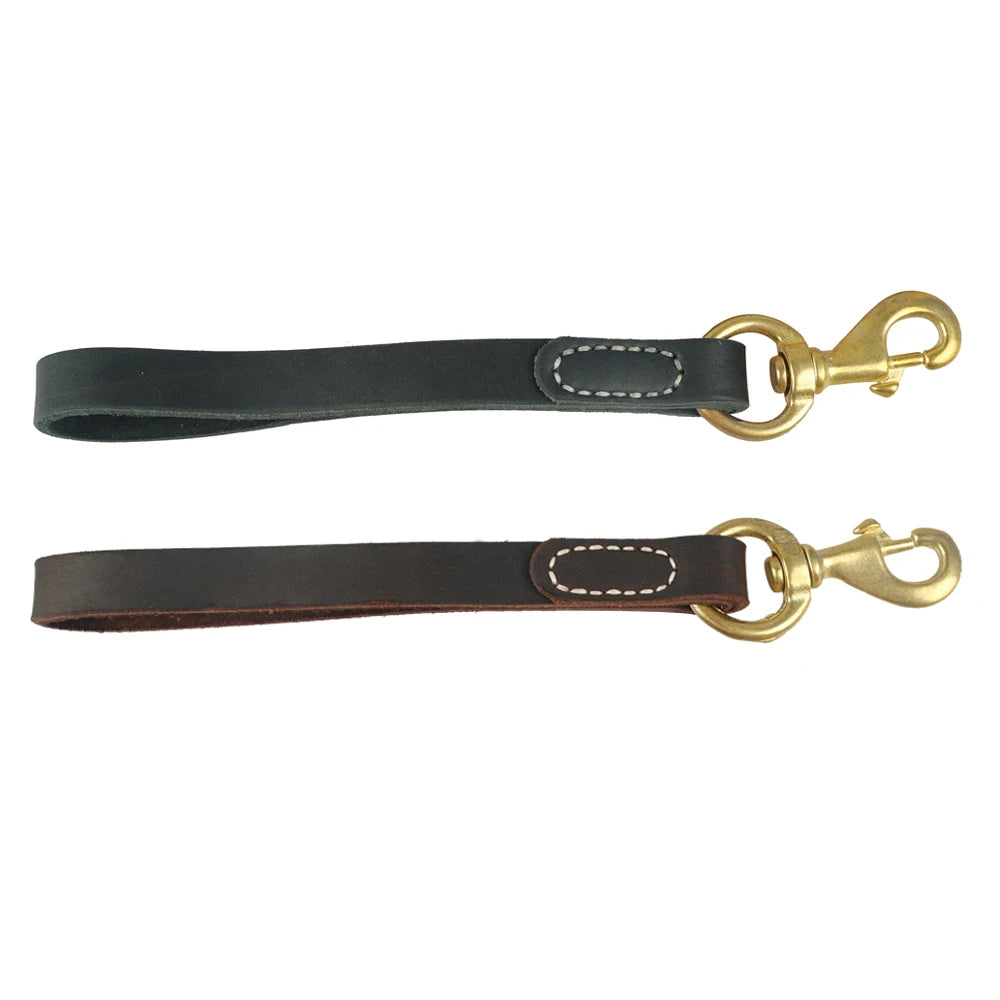 Laisse Courte Cuir et Or Chien