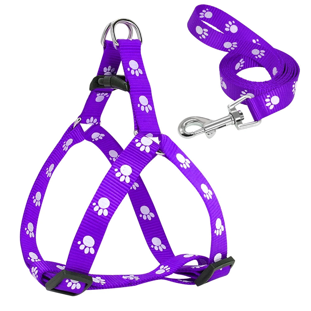 Pack harnais Nylon et Laisse