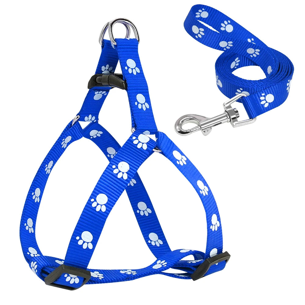 Pack harnais Nylon et Laisse