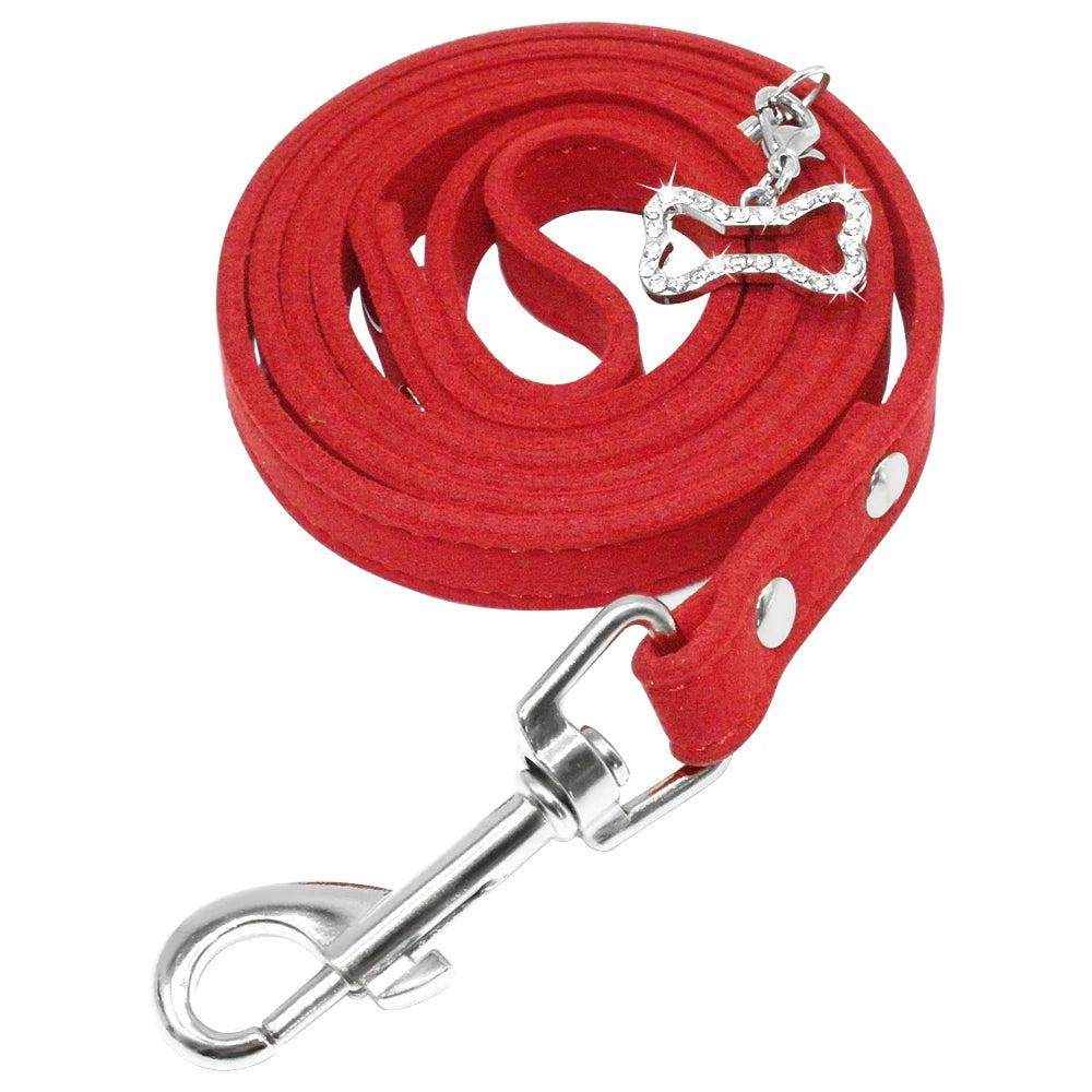Laisse Cuir Suédé Petit Chien / Chiot