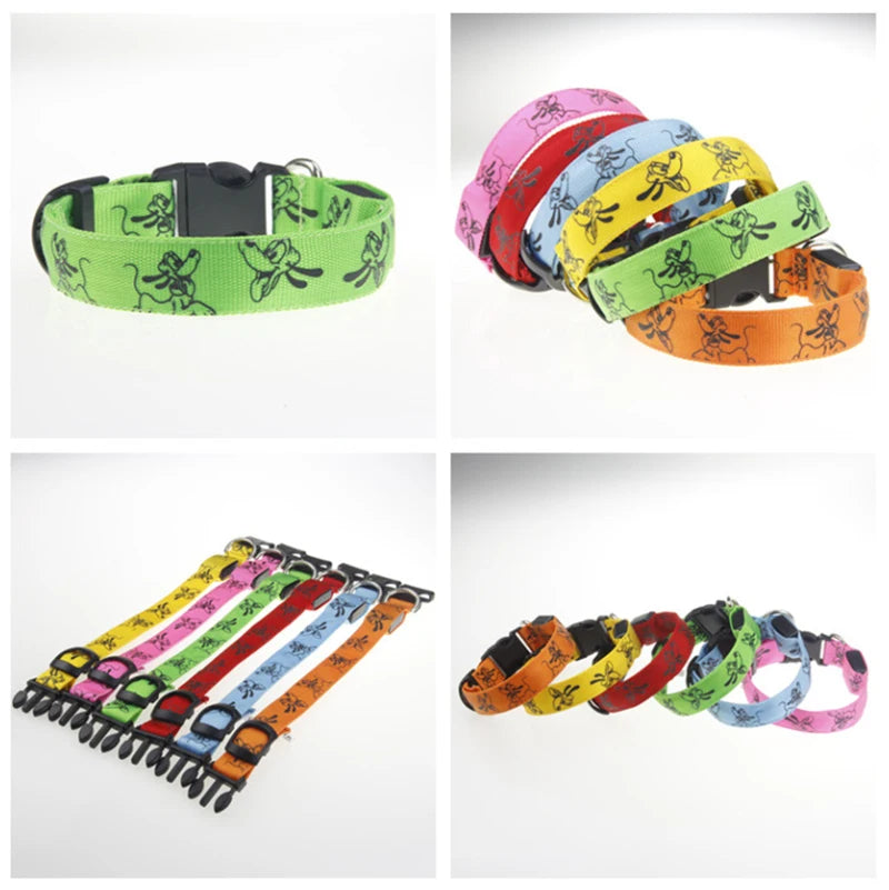 Collier Lumineux Chien - Pluto-Pile Poils