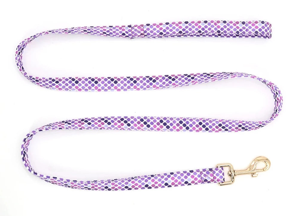 Laisse Chien Nylon Colored - 150cm