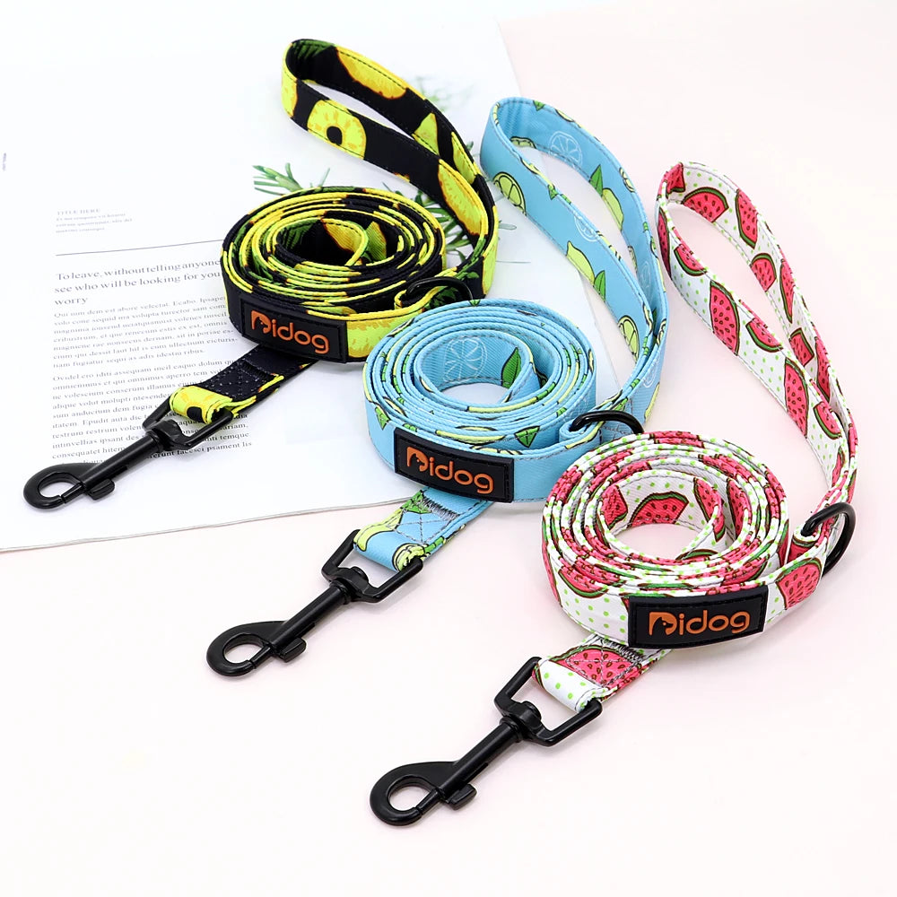 Laisse Nylon 150cm chien - Nature