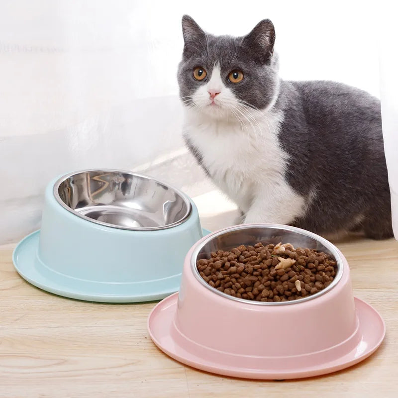 Gamelle Chat Rehaussée et Inclinée avec Rebord