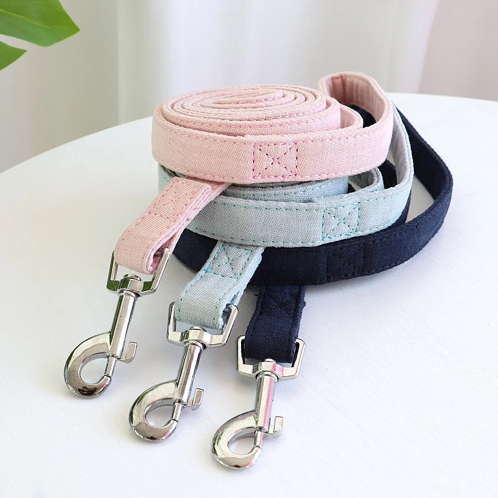 Pack harnais rembourré hiver et Laisse