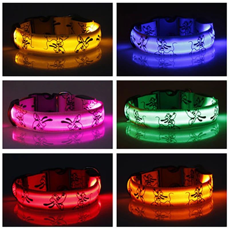 Collier Lumineux Chien - Pluto-Pile Poils