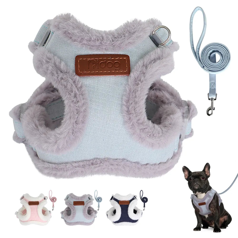 Pack harnais rembourré hiver et Laisse