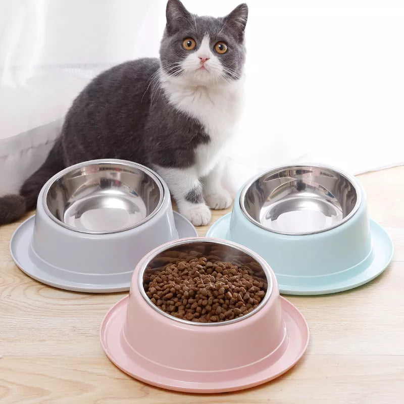 Gamelle Chat Rehaussée et Inclinée avec Rebord
