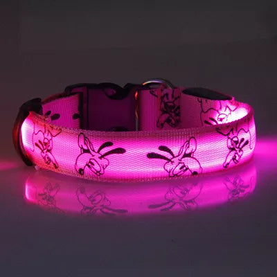 Collier Lumineux Chien - Pluto-Pile Poils