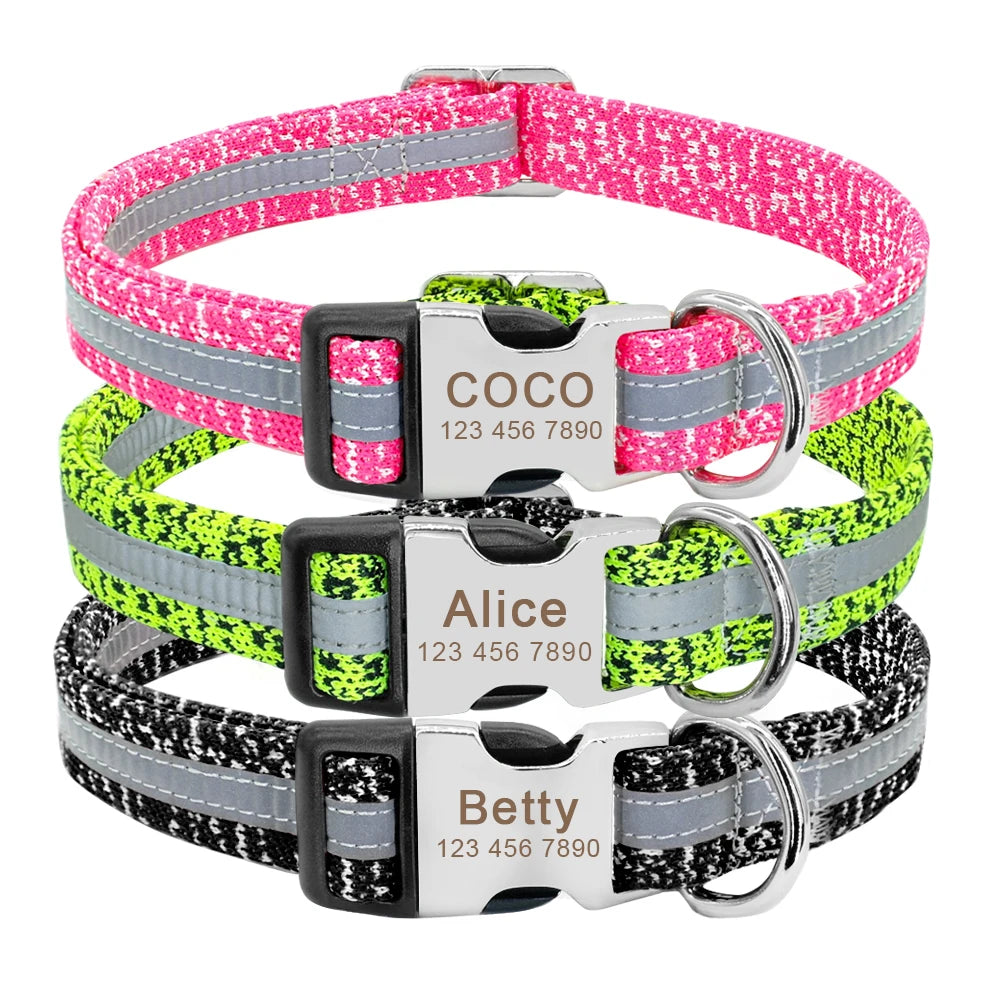Pack Collier Personnalisé et Laisse Chien - Réfléchissant-Pile Poils