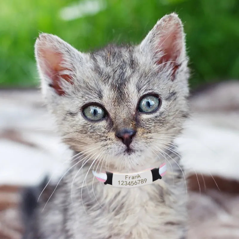 Collier Chat Personnalisé et Réfléchissant