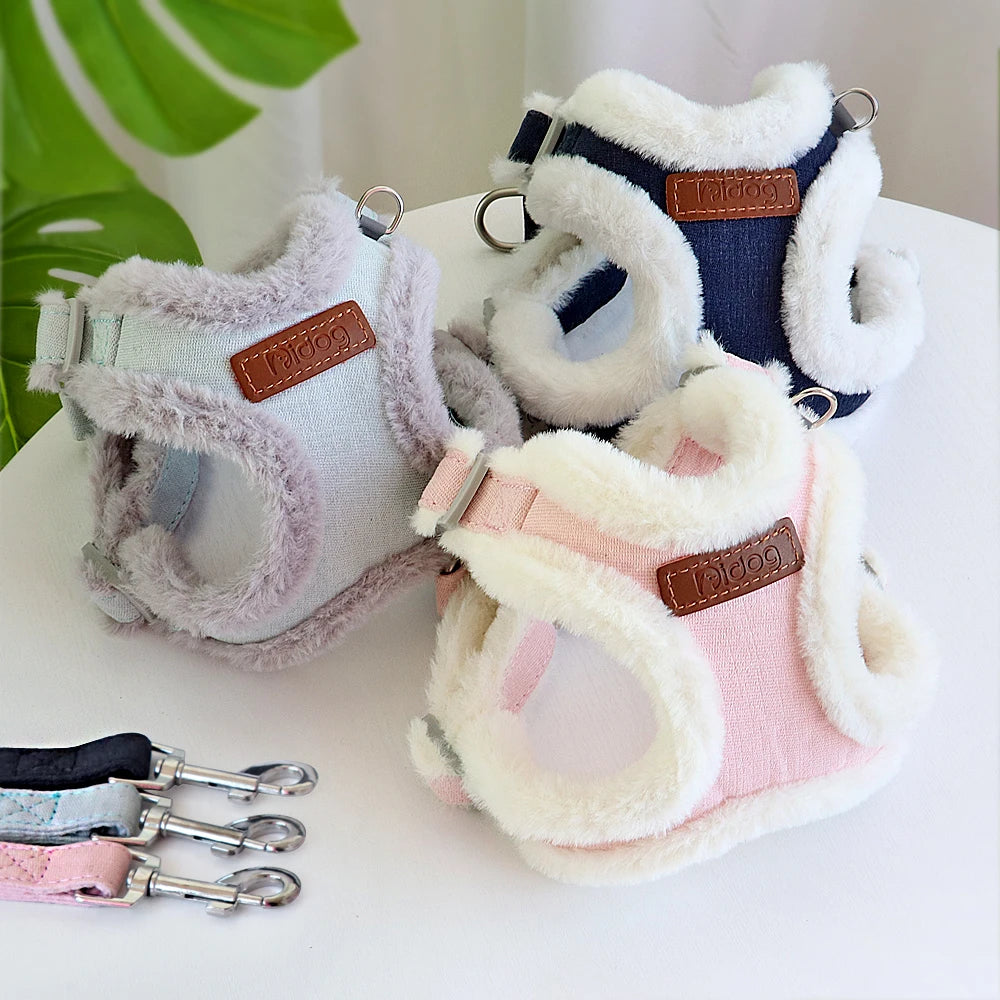 Pack harnais rembourré hiver et Laisse