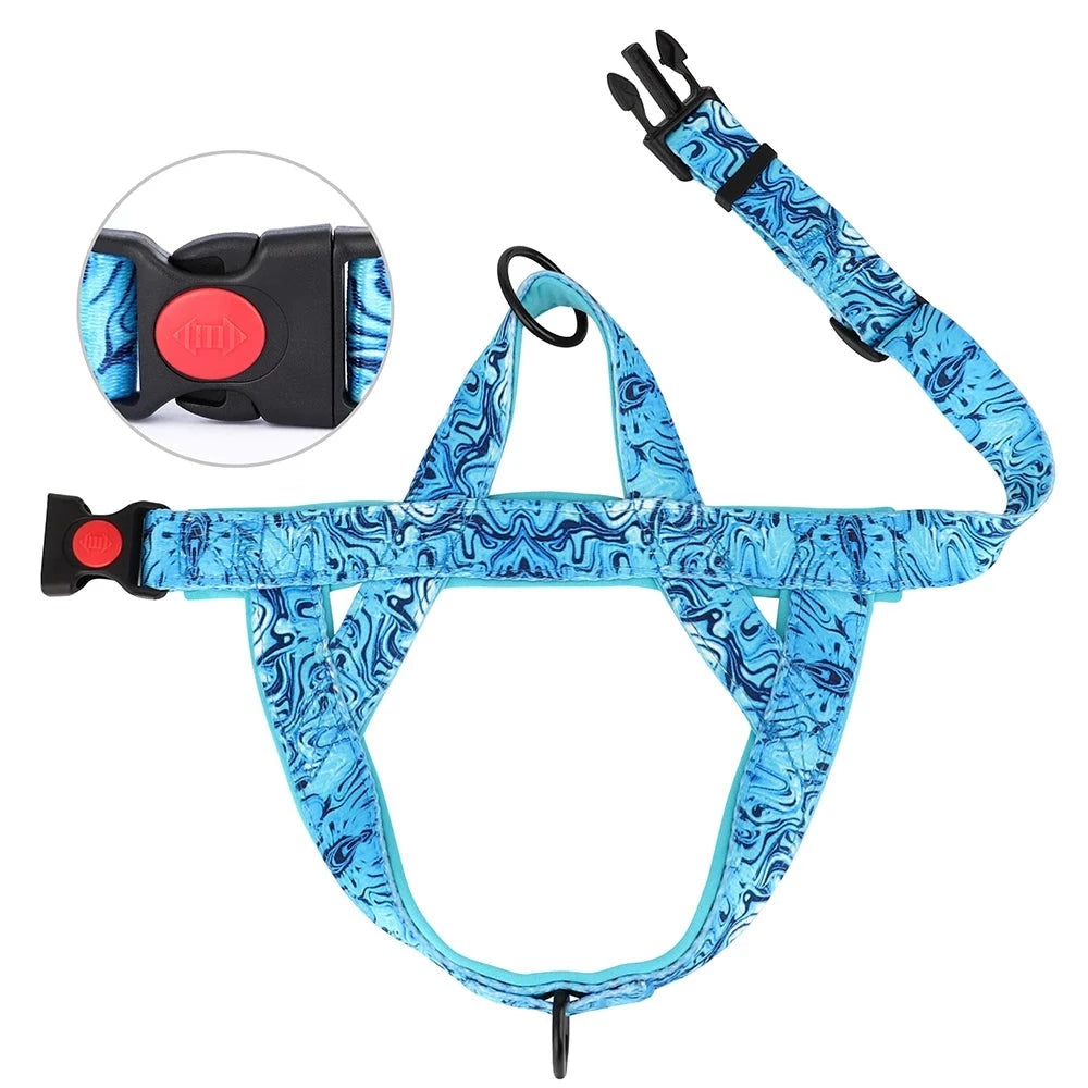 Harnais Anti-Traction Colored Chien