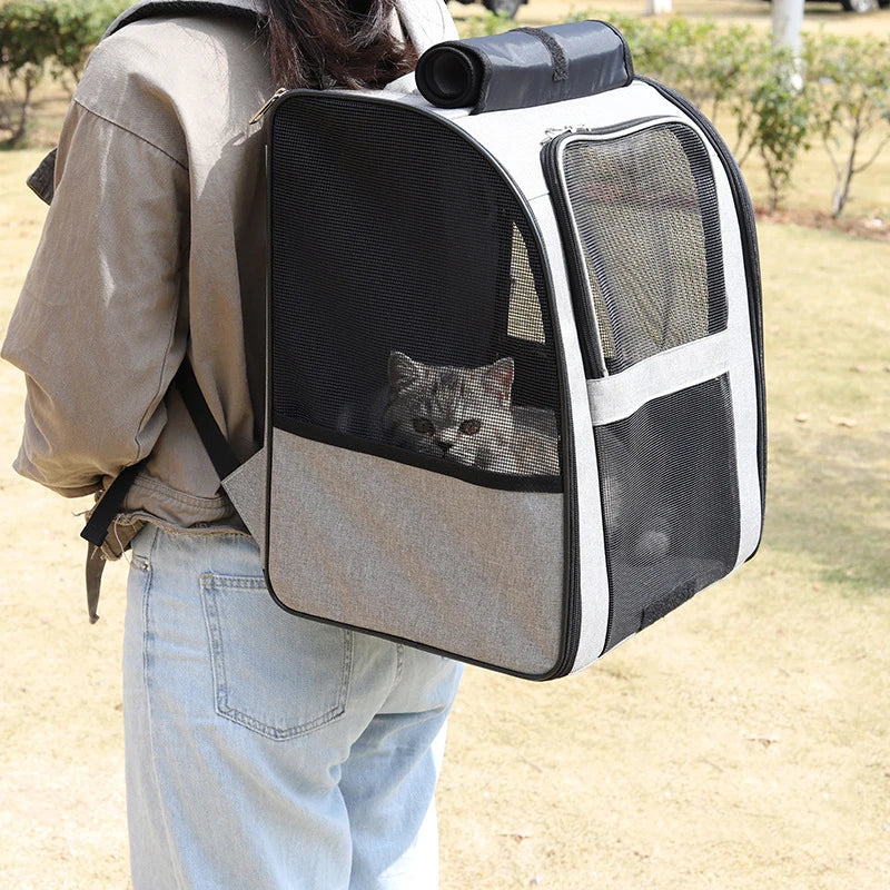 Sac à Dos Chat - Easy