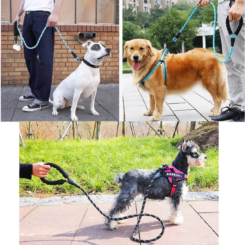 Laisse Corde Réfléchissante Chien
