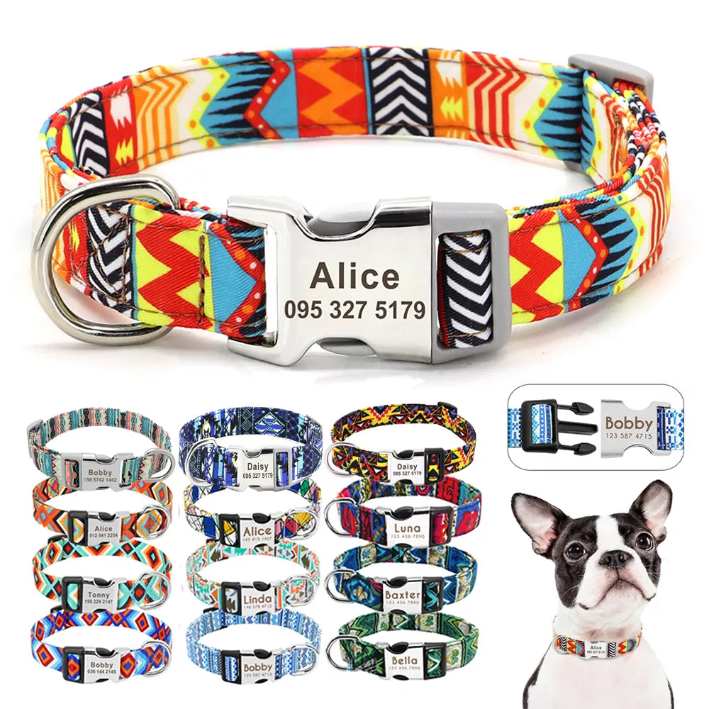 Collier Chien Personnalisable - Coolors-Pile Poils