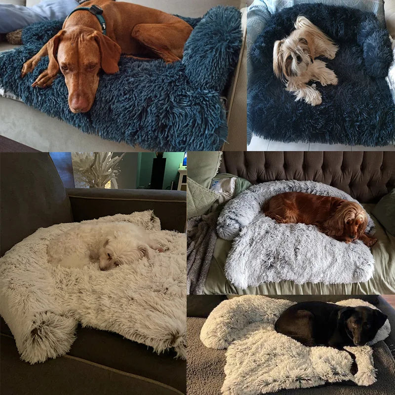 Canapé pour Chien Anti-Stress Lavable