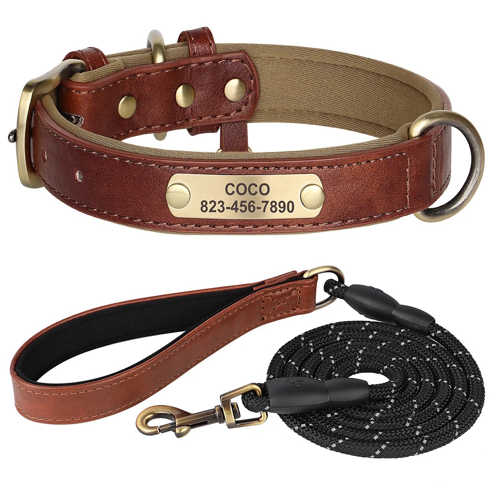 Pack Collier Personnalisé et Laisse Chien - Cuir Rembourré-Pile Poils