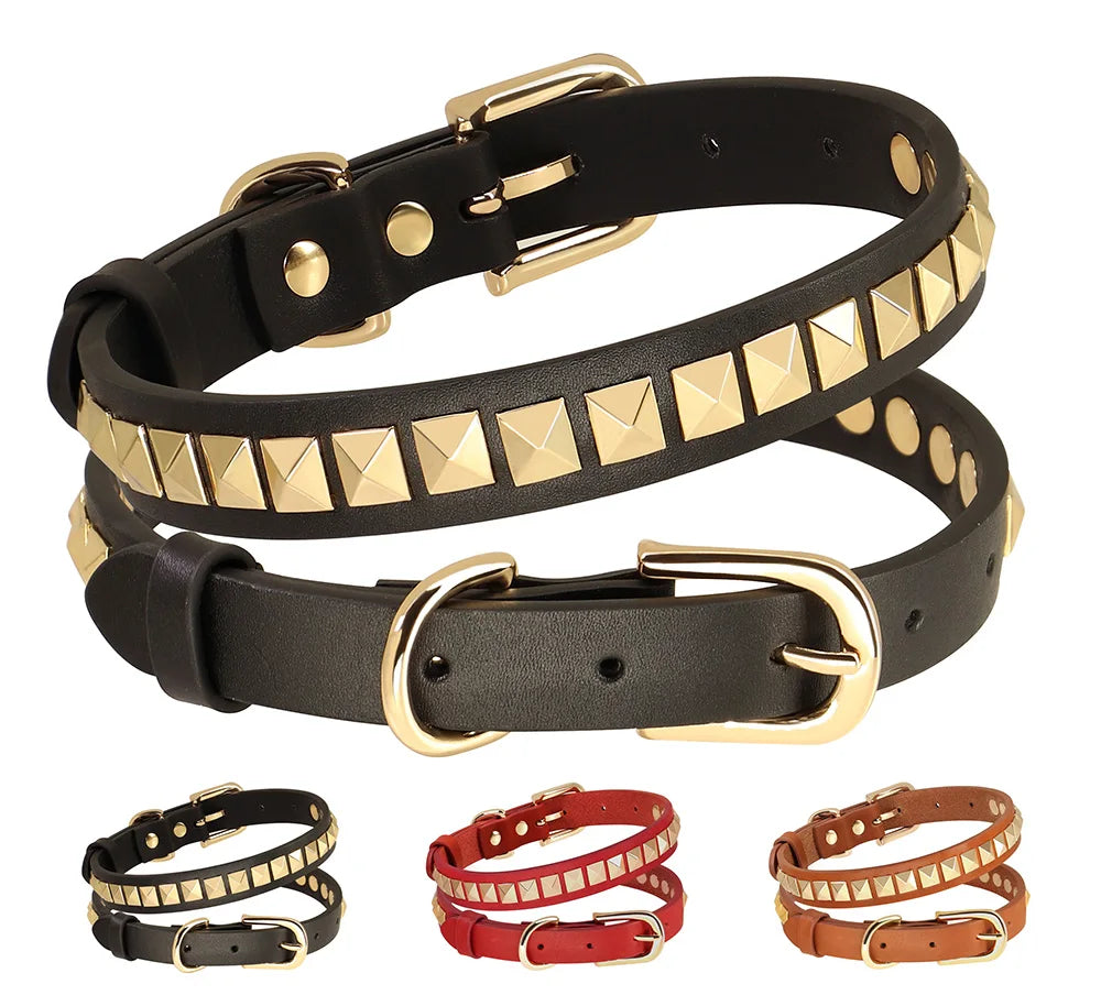 Collier Cuir Chien à Rivets Dorés-Pile Poils