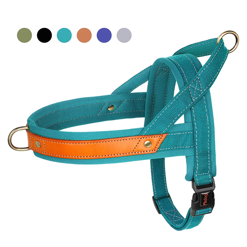 Harnais Rembourré Nylon / Cuir Chien
