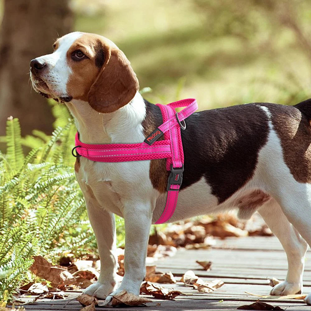 Harnais Nylon Rembourré Réfléchissant Chien