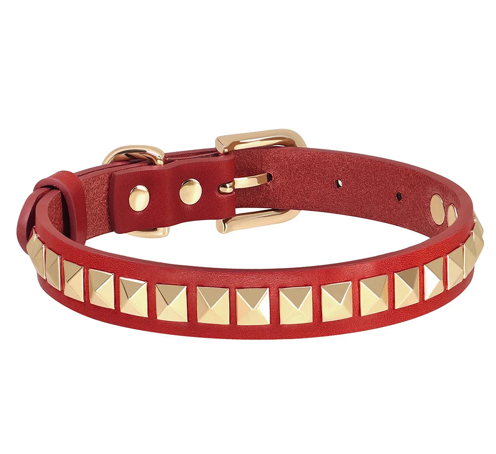 Collier Cuir Chien à Rivets Dorés-Pile Poils