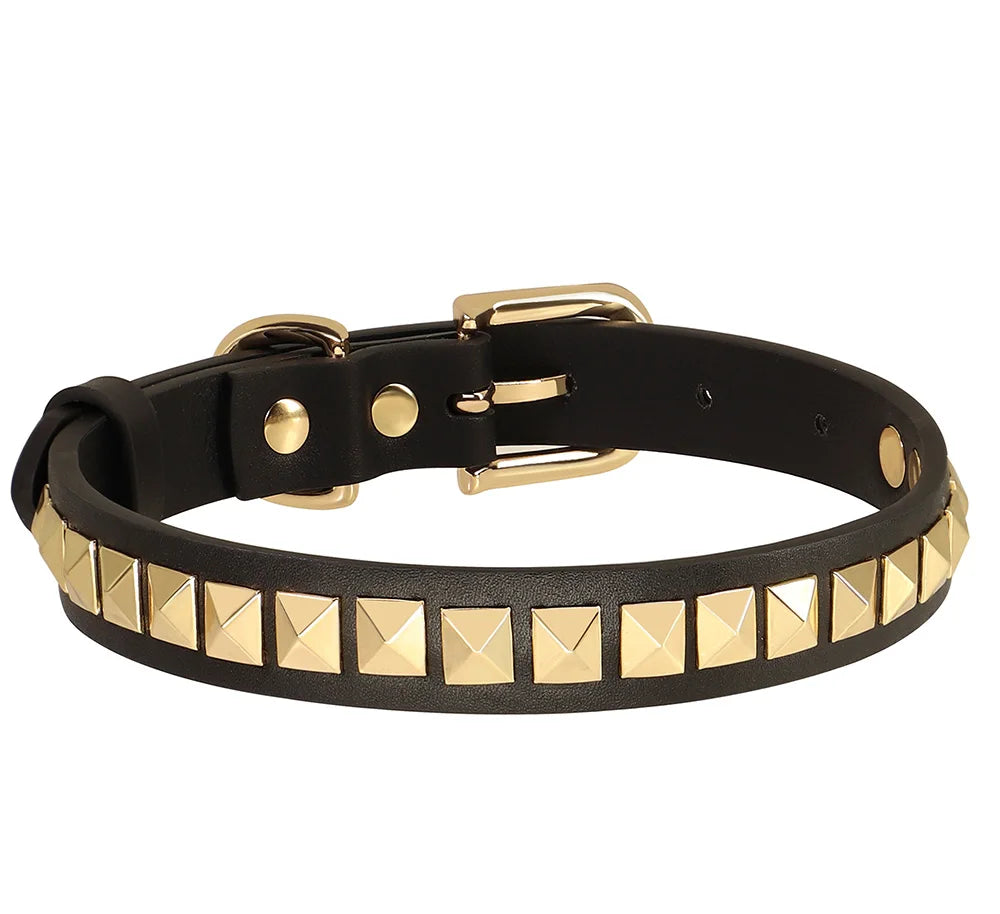 Collier Cuir Chien à Rivets Dorés-Pile Poils