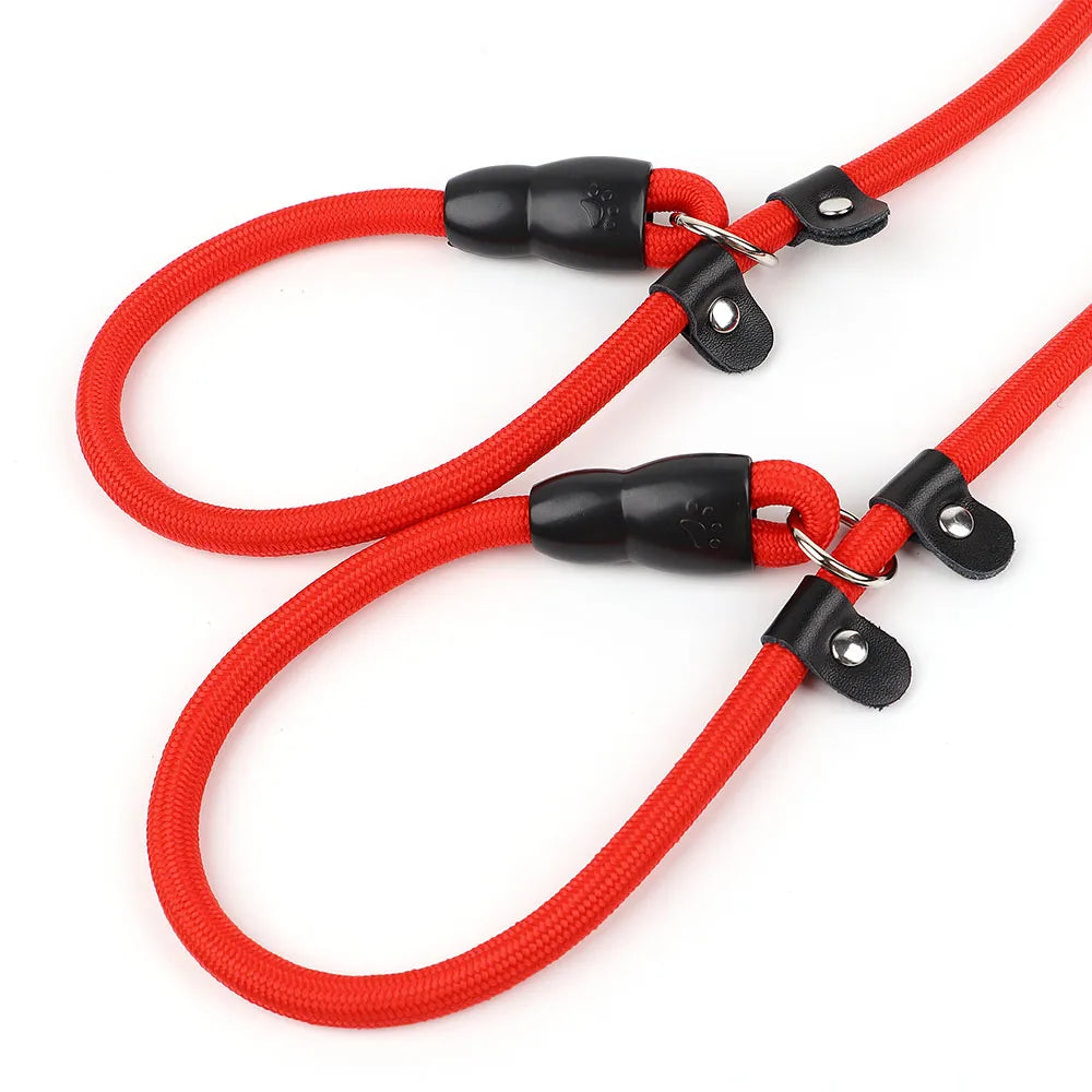 Laisse Double pour chien