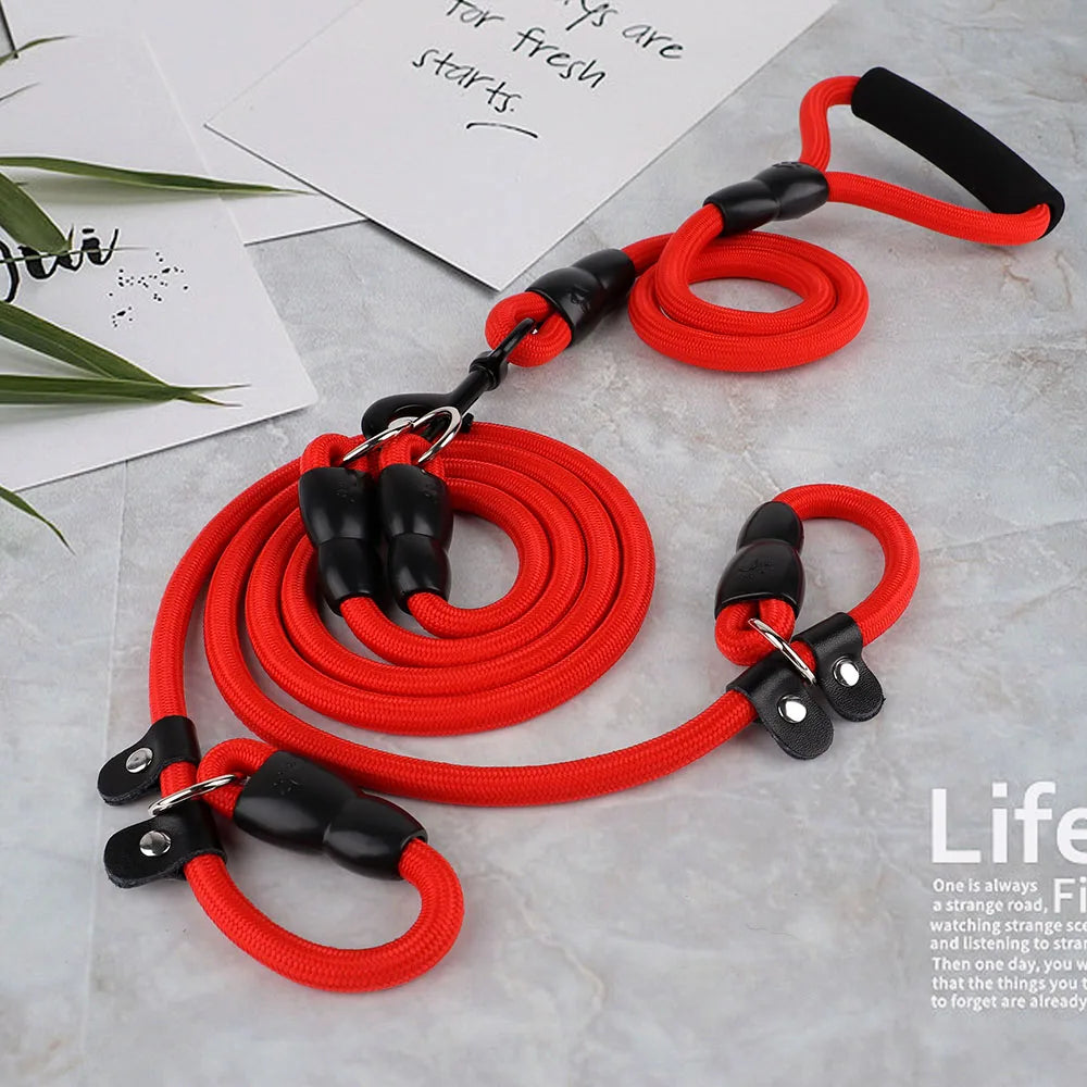 Laisse Double pour chien