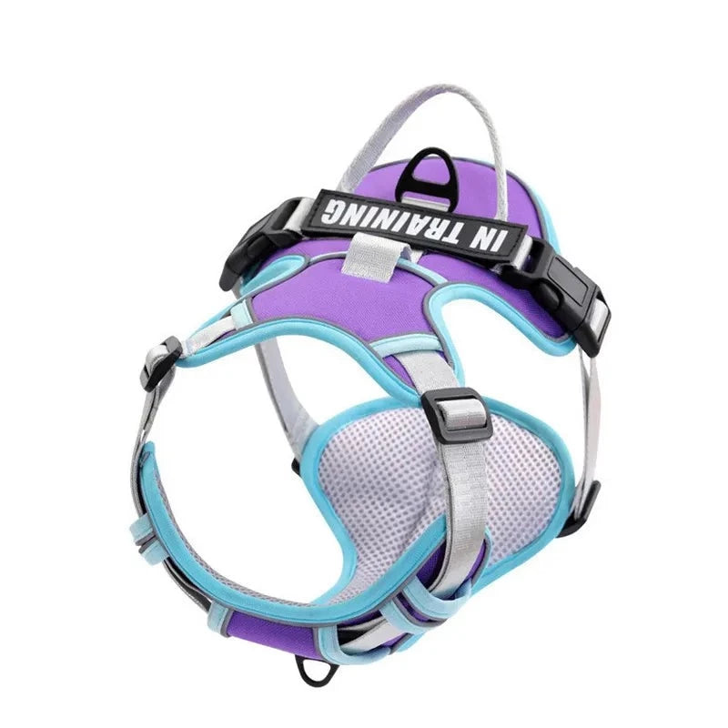Harnais Personnalisé Nylon Réfléchissant - BiColor