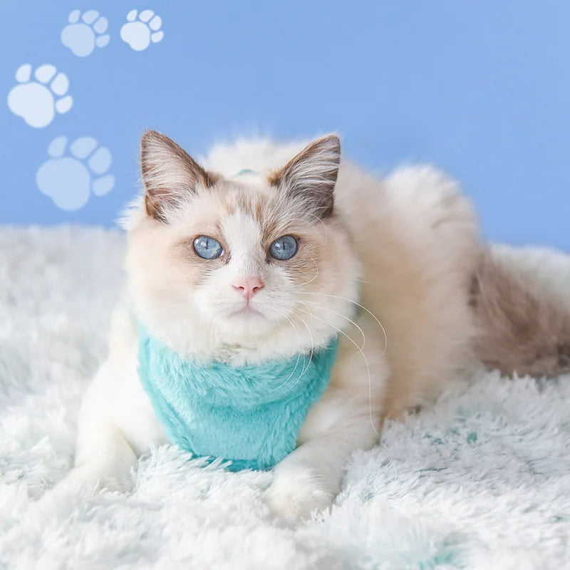 Pack Harnais Fourré et Laisse Chat