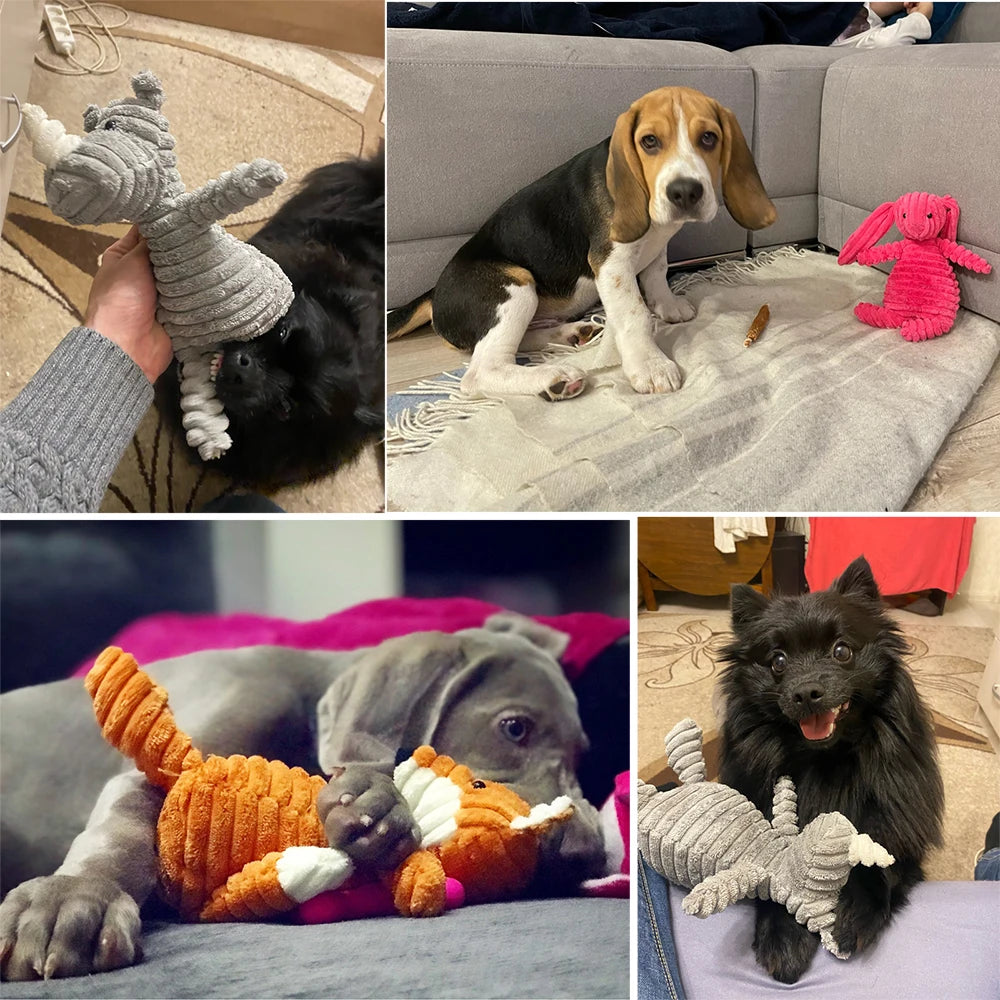Jouet Chien Peluche à Macher