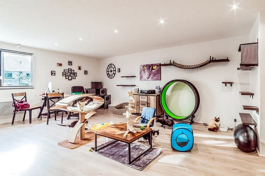 Comment aménager un espace félin stimulant dans un petit appartement