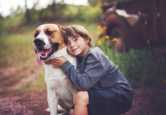 Quelle est la meilleure race de chien pour une famille avec enfants ?