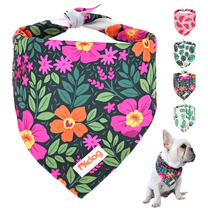 Bandana Funky chien