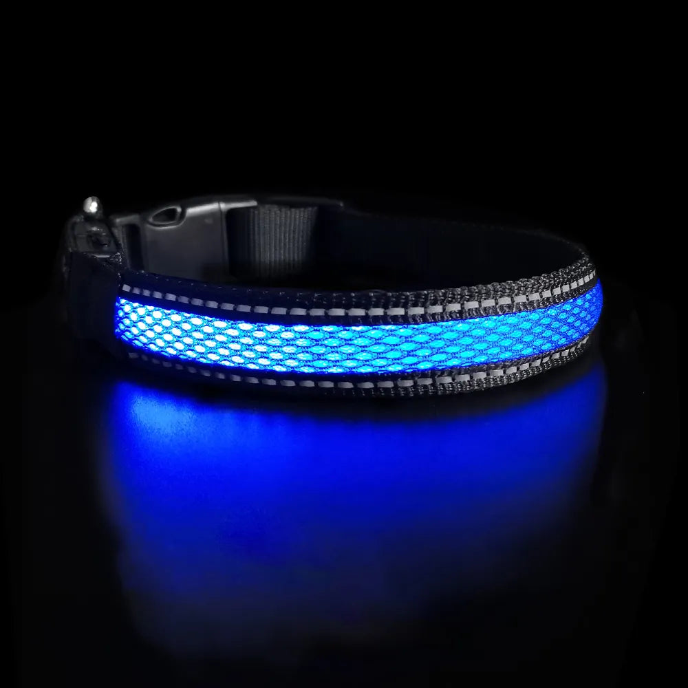 Collier Lumineux Chien LED-Pile Poils